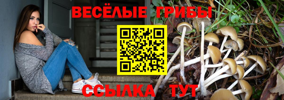 Раменское  Галлюциногенные грибы MAGIC MUSHROOMS  купить   Вход с VPN  Псилоцибиновые грибы MAGIC MUSHROOMS 